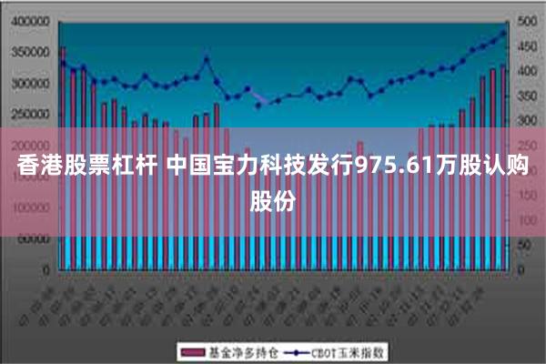 香港股票杠杆 中国宝力科技发行975.61万股认购股份