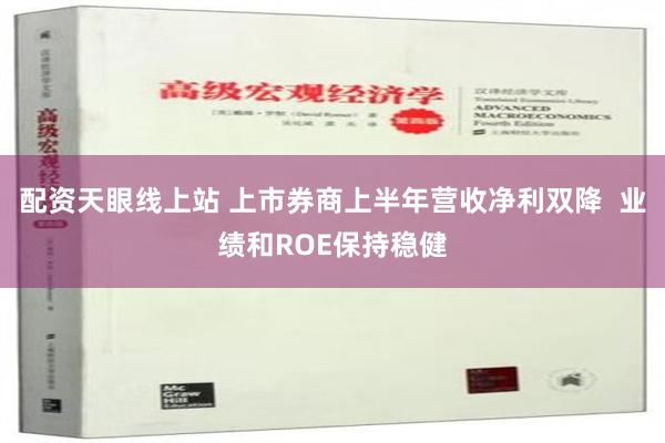 配资天眼线上站 上市券商上半年营收净利双降  业绩和ROE保持稳健