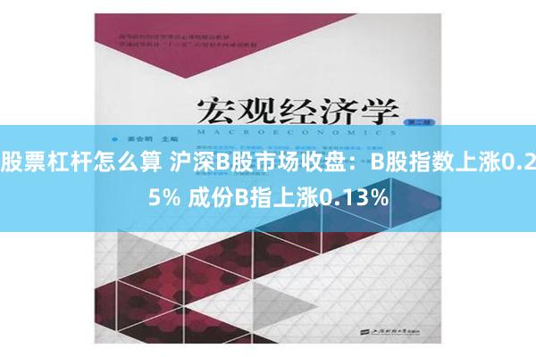 股票杠杆怎么算 沪深B股市场收盘：B股指数上涨0.25% 成份B指上涨0.13%