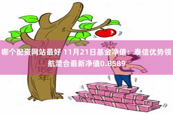 哪个配资网站最好 11月21日基金净值：泰信优势领航混合最新净值0.8589