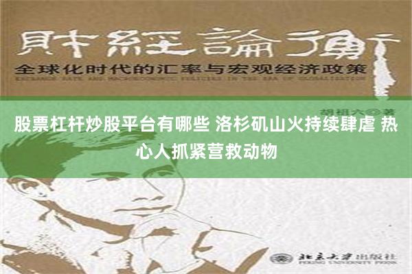 股票杠杆炒股平台有哪些 洛杉矶山火持续肆虐 热心人抓紧营救动物