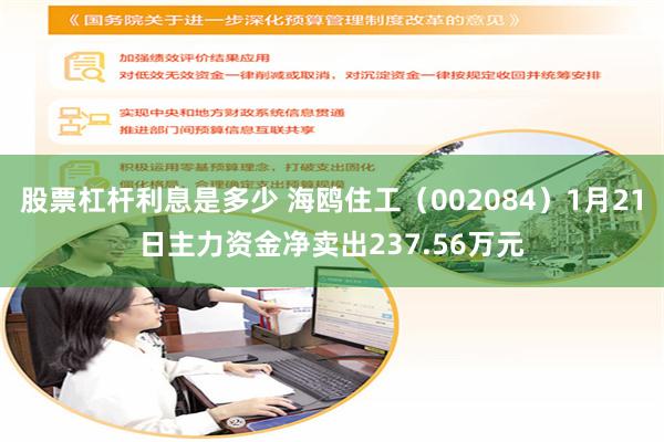 股票杠杆利息是多少 海鸥住工（002084）1月21日主力资金净卖出237.56万元