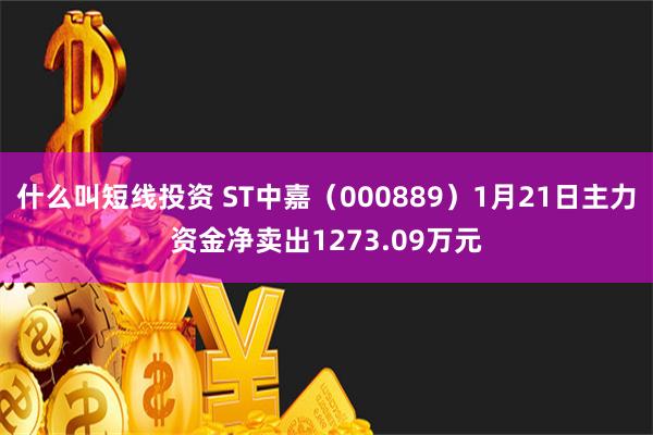 什么叫短线投资 ST中嘉（000889）1月21日主力资金净卖出1273.09万元